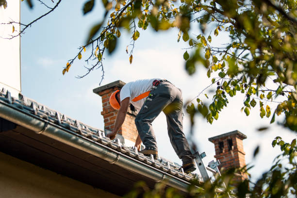 Best Roof Waterproofing Services  in Wright City, MO