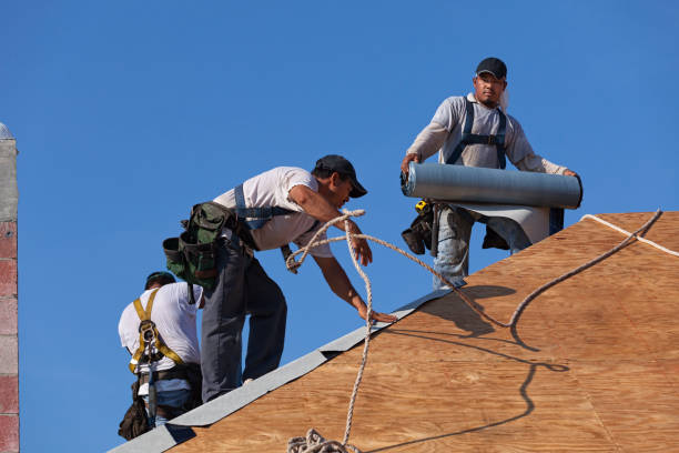 Best Roof Gutter Cleaning  in Wright City, MO