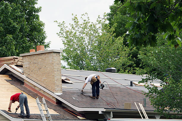 Best Roof Maintenance Services  in Wright City, MO